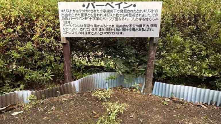 バーベイン　キリストの里公園　青森県の観光