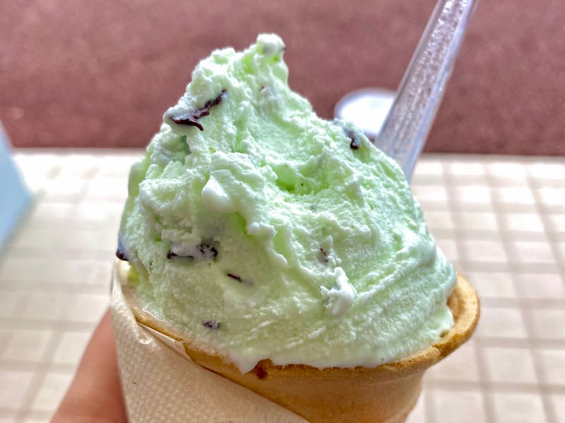 道の駅おりつめ ジェラート チョコミント 道の駅レビュー