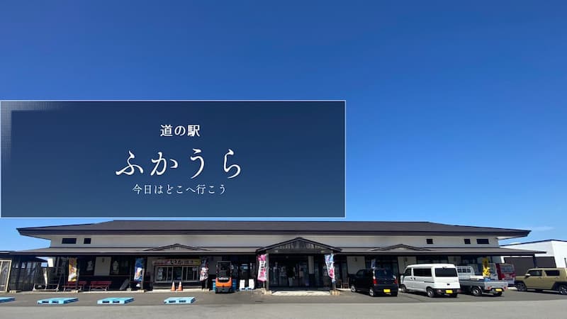 道の駅ふかうら　イカ焼き　青森県の道の駅　道の駅レビュー