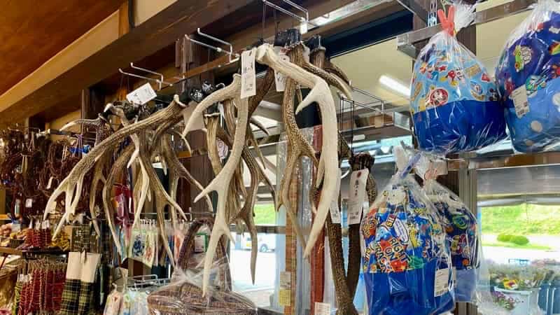 道の駅遠野風の丘　鹿のツノ　岩手県の道の駅　道の駅ブログ