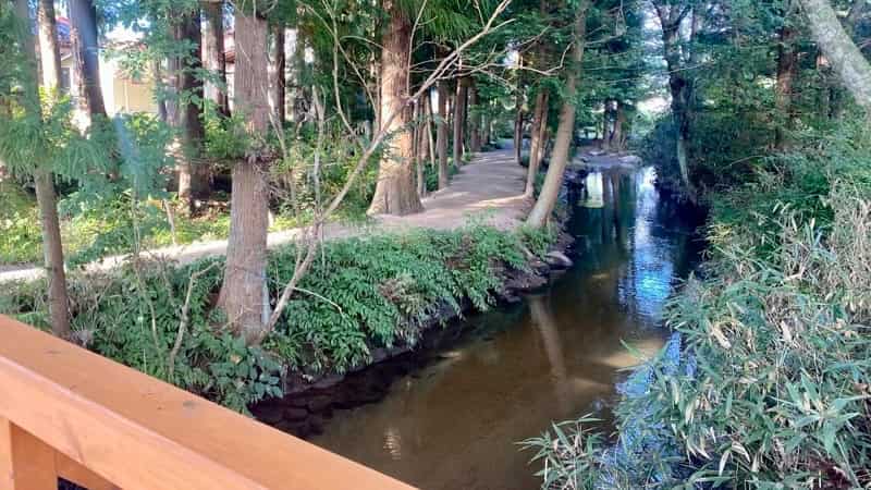 カッパ淵への道　遠野　岩手