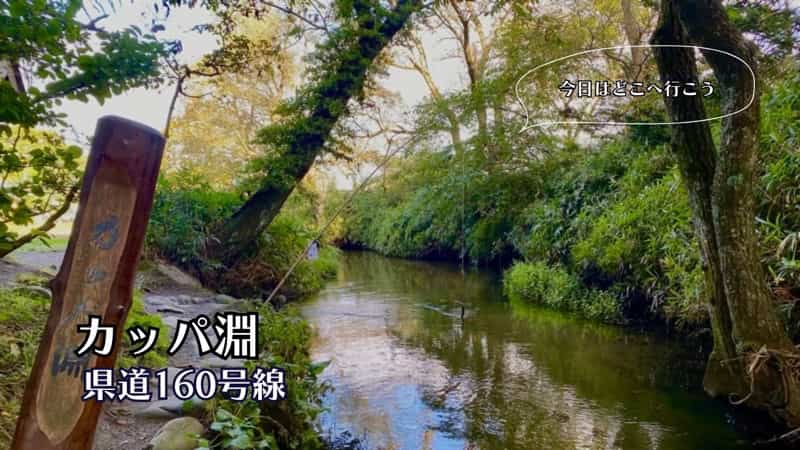 カッパ淵　遠野の観光　岩手の観光　レビュー