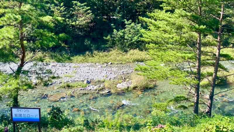道の駅やまびこ館 紫陽花ロード 岩手の道の駅