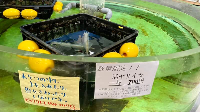 道の駅こどまり ヤリイカ 青森県の道の駅