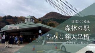 森林の駅　もみじ谷大吊橋 レビュー　栃木県の観光