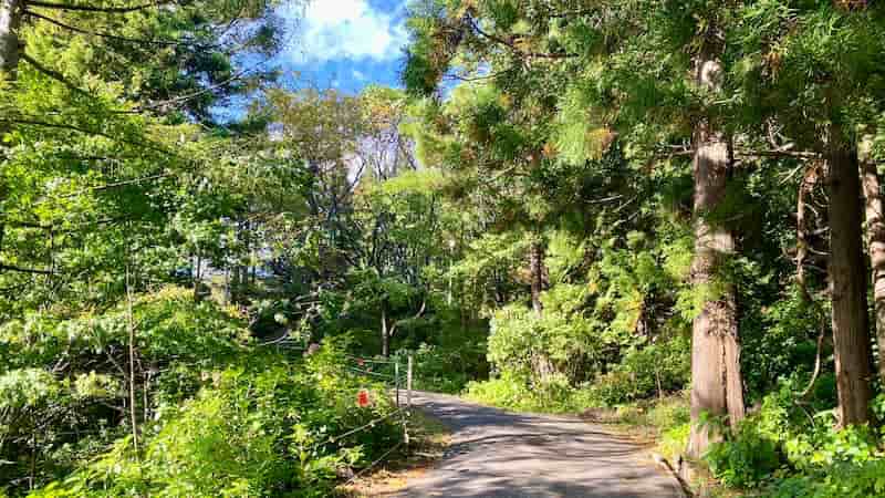 脇野沢村野猿公苑への道 道の駅ブログ 道の駅わきのさわ