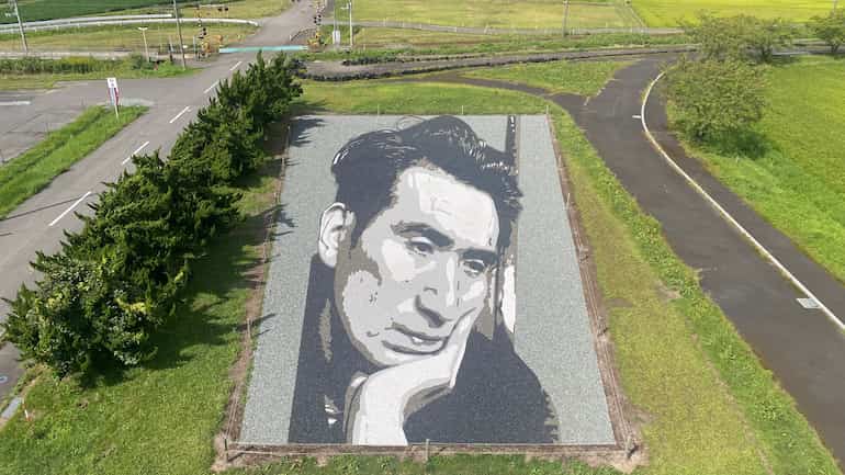 石アート 2026年の柄 道の駅いなかだて 田んぼアート第2会場 道の駅ブログ